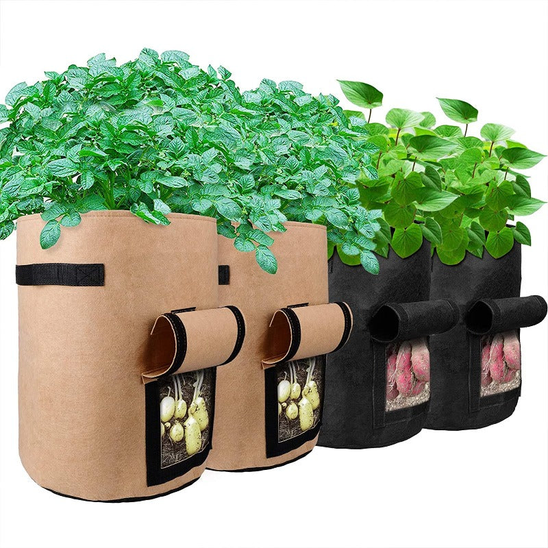 http://www.amazinggarden.net/cdn/shop/products/81AVKVhEk8L._AC_SL1500_1200x1200.jpg?v=1657790563